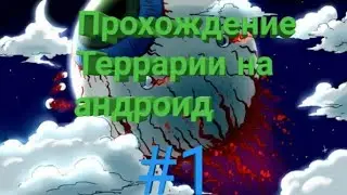 Прохождение terraria на андроид