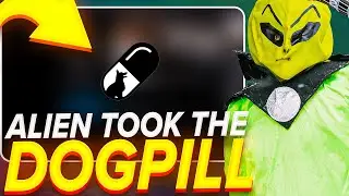 ALIEN TOOK THE DOGPILL - NEW INTERESTING PROJECT