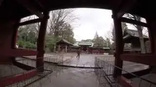 Shrines, Magic Tricks, and Rabbits