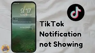TikTok Notifications Not Showing on iPhone? Here's the Fix (2025)