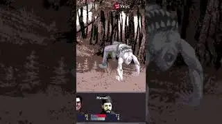 Все анимации из Felvidek