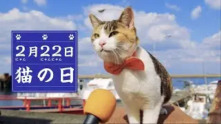 День кошек в Японии проект 1а и 1 г