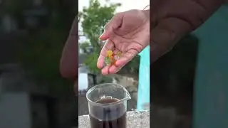 Orbeez in Cold Drinks- Shocking Results -#shorts #bhuneshgaming