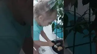 интересное занятие для ребенка #дети #baby #дом #cute #любовь #семья #развивающиезанятиядлядетей
