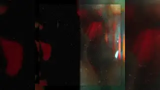 Daniel Di Angelo - Lose Face
