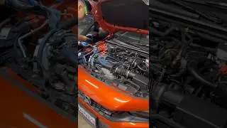 11th Gen Civic Si Oil Change #11thgen #youtubeshorts #civicsi #oilchange #2022civicsi #honda