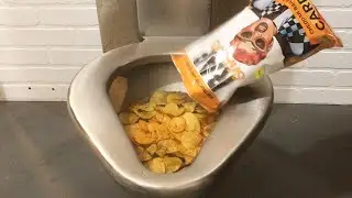 Prison Toilet Vs Cardi B Rap Snacks - Will it Flush?