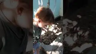 Добавление звуков в видео