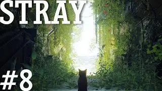 ЭТО КОНЕЦ! Stray #8