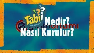 Tabii Uygulaması Nedir? EBA Tabii Nasıl İndirilir ve Kurulur?