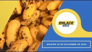 Noticias Enlace Trece (Emisión 22 de Diciembre de 2023)