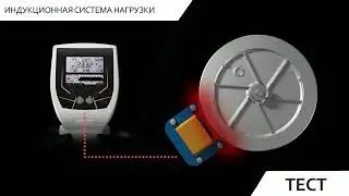 Электромагнитная (индукционная) система нагрузки