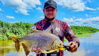 THE CHEAPEST BAIT FOR THE BADEST FISH!!!