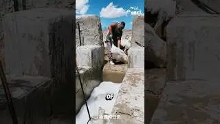 Why Are They Throwing Sheep Into The Sea?