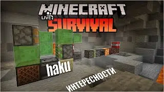 Выживание на приватном сервере Майнкрафт! | Haku・приватный сервер Minecraft 🖤 