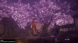 Nioh 2 - Tokichiro Crusher NO DAMAGE