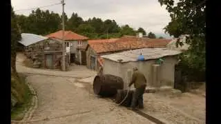 Loivos / Povoa de Agrações - Freguesia