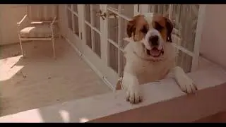 beethoven 2nd (1993) - missy escapes