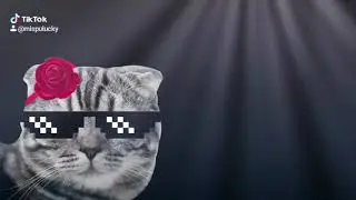 Lisa Blackpink Kill this love ✅ Cat transform Lisa BLACKPINK so COOL