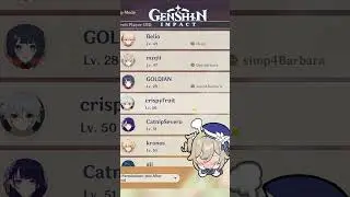 One of the two types of genshin players | Genshin Impact