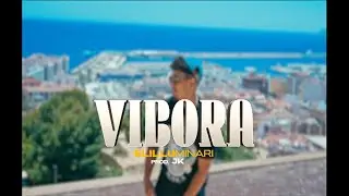 VIBORA - ELILLUMINARI - PROD 1JOAKIN