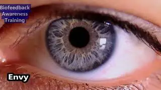 Male Biofeedback Training scan