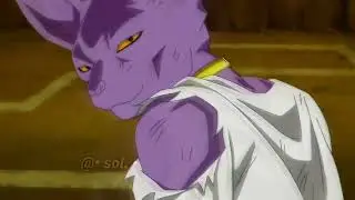 Quick Beerus Edit / perché ahimè ho bisogno di nuove idee per postare 🧍🏼‍♀️