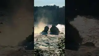 Experience the Majestic🤩 Rheinfall with Our Exclusive Tours  | Switzerland Tourism🇨🇭