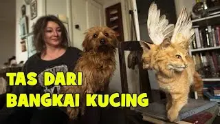 Kejam! Perusahaan Ini Bikin Tas Dari Kepala Kucing!