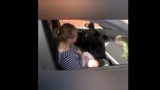 #публичное