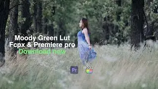 Moody Green  Lut 2021 | Fcpx & Premiere pro | Download now | Learn 2 pro