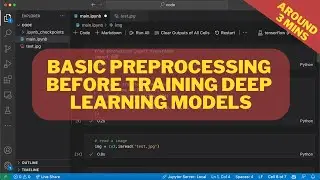 Basic Image Preprocessing for training deep learning models. | Pytorch | (In 3 mins)