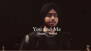 You and Me ( Slowed + Reverb ) - Shubh
