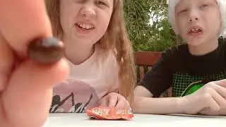 🇪🇸Spain Universal Yum Box🇪🇸