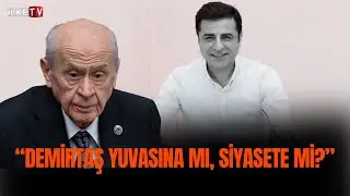 Arzu Yılmaz: 