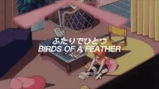 BIRDS OF A FEATHER - Japanese version (city pop)