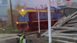 Тгм4 1954 с вагонами