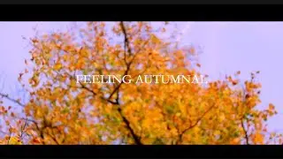 Feeling Autumnal
