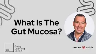 What Is The Gut Mucosa?