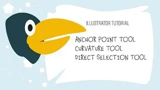 Anchor Point, Curvature and Direct Selection Tool