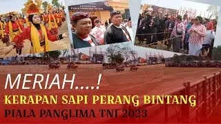 Kemeriahan Kerapan Sapi Piala Panglima TNI