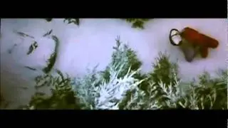 Caperucita roja 2 el trailer