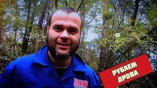 Можно ли в лесу рубать дрова? / как пилить два в лесу? / заготовка дров