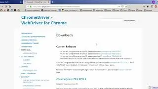 WebDriverException: Message: 'geckodriver' executable needs to be in PATH.