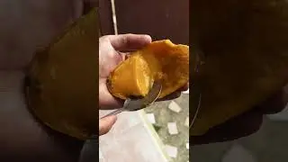 Готовлю завтрак и считаю животных