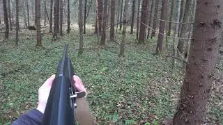 HARE HUNTING WITH A RUSSIAN HOUND. October 27. SEASON 2021-2022.