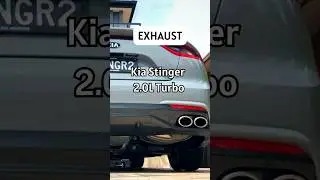 Kia Stinger 2.0L turbo // exhaust noise 