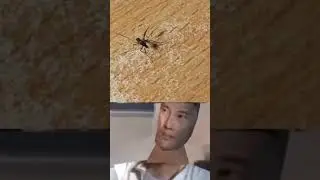 Я вообще то хирург!