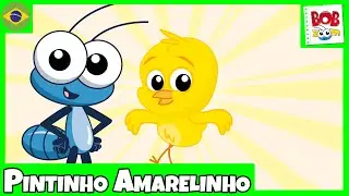 Pintinho Amarelinho - Bob Zoom |  Video Infantil Musical Oficial