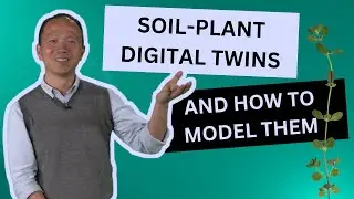 Soil-plant digital twins and how to model them